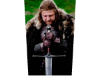 Ned Stark Cutout