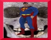 Superman Costume m/f