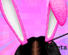 🐰Bunny Ears Pink