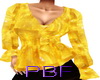 PBF*Classy Gold Top