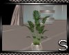 !!Pure Potted Plant