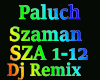 Paluch - Szaman Dj Remix