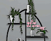 Modern Plants Shelf