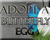 Adopt a Butterfly Egg!