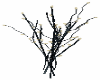 Willow branches -Blk/Gld