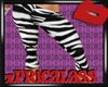 :BM Zebra Short Leggins: