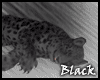 BLACK leopard