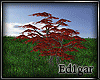 (ED1)Tree-20