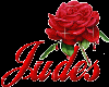 Judes Red Rose