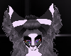 HydroxiPride Ears V2