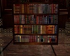 (DL) AM Bookshelf