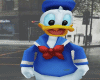 (S)AVI Donald Duck
