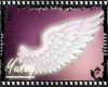 Yl Wings angel*