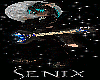Senix13