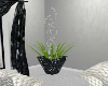 luxury vase plant 