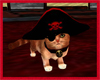 (LIR) Pirate Cat.