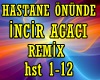 İncir Agaci