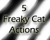 CH! 5in1 Cat Actions