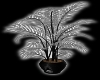 ~ASH~Harley potted plant