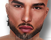 Realistic Head + Beard
