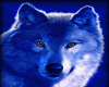 Animated Wolf 07