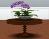 Table w/Plant