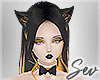 Halloween 2017 Sexy Kitty Cat Costume