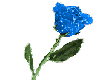 Blue glitter rose