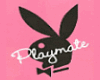 Playboy  Hot Stepperz