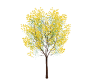 Springtime-Fruit-Tree-v3