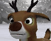 Winter ▲ Deer (ANI)