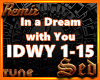 |S| Dream With You Remix