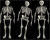 [R]Human Skelton m/f