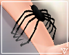 ▲Vz' Spider Bracel