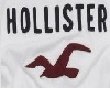 LD-White Hollister