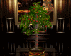 [ju]Tree ChrIstmas/3 lu