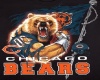 Bears 2