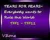 TEARS 4 FEARS-EWTRTW