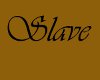 X6 SLAVE COLLAR
