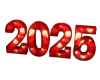 Venjii 2025 Balloons