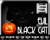 [S] Halloween Black Cat 