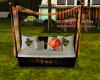 camping  couches
