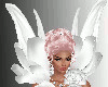 SL Divine Angel Bundle