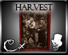 [CX]Harvest Frame