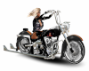 Motorcycle Harley Journy
