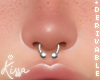 DRV. Septum F