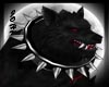 Evil Wolf -Bundle-