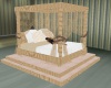 ~Foxy~ Canopy Bed