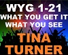 Tina Turner - What You
