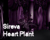 Sireva Heart Plant 